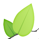Leaflet